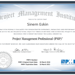 PMP Sertifika