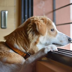 Coping with Waiting
