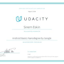 Udacity Nanodegree